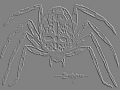Spinne (Relief) 1024x768